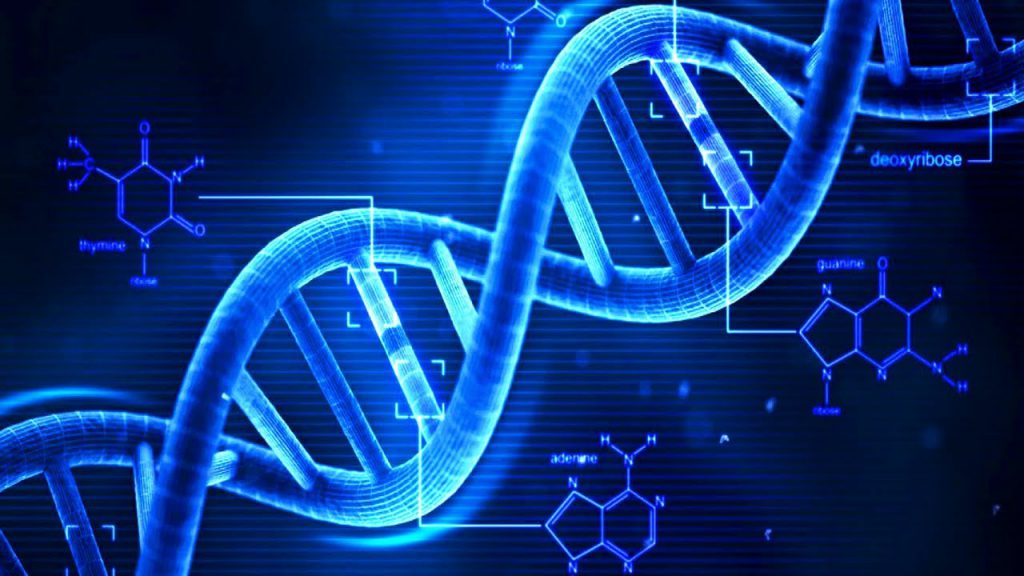 Hva er gener og DNA egentlig?